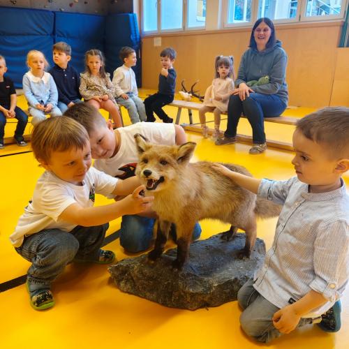 Faszination mit dem Fuchs