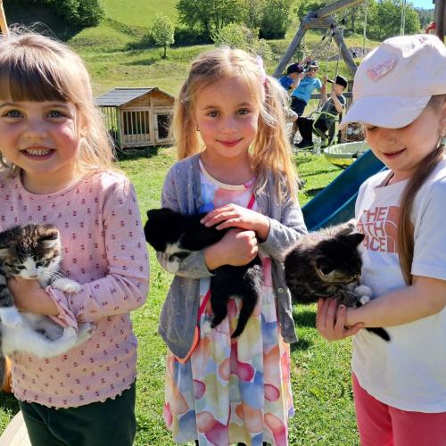 Unsere drei Mädels mit den Katzen
