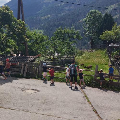 wir beobachten die Tiere