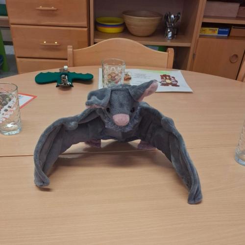 Flaps